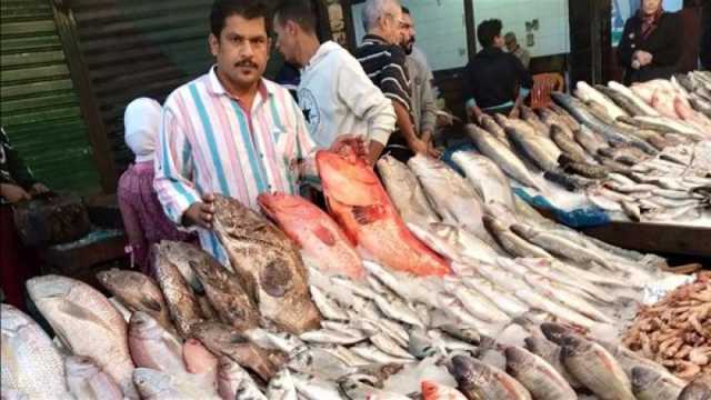 عالميا.. العراق بالمرتبة 164 باستهلاك الأسماك