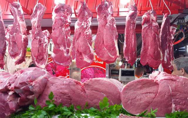 تتضمن 12 نقطة.. حزمة قرارات حكومية جديدة لتخفيض أسعار اللحوم في العراق