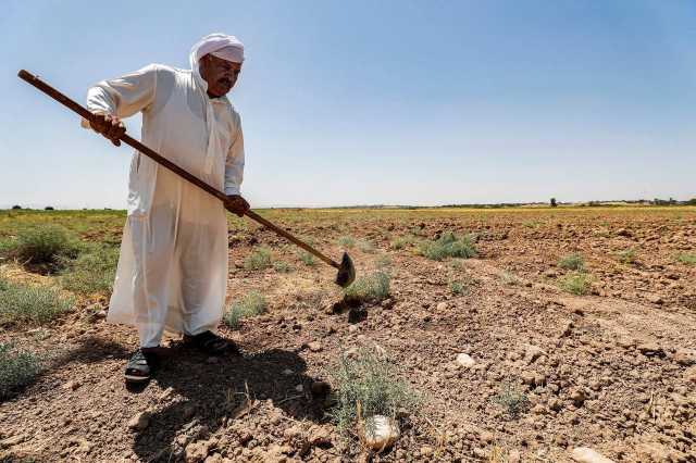 ما موقف البرلمان من زيادة نسبة التصحر في العراق؟ 