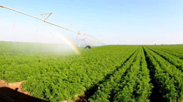 إعداد قانون جديد لاستثمار الأراضي الزراعية في العراق