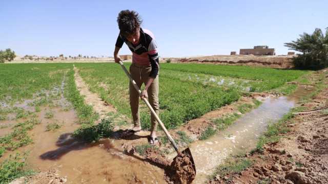 قرب الإعلان عن قروض الفلاحين والمزارعين في العراق