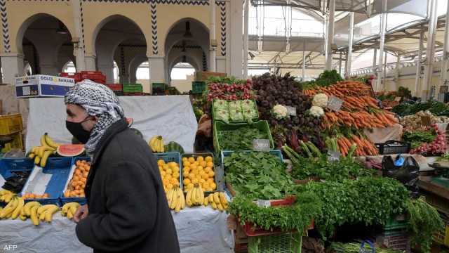 للشهر الثاني.. التضخم السنوي في دولة عربية يواصل الانخفاض