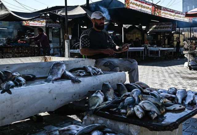 الزراعة: فتح استيراد الأسماك جاء لدعم المواطن