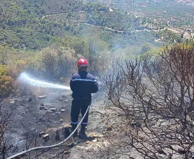 البويرة: جهود لإخماد حريق أدغال ببلدية تاغزورت.