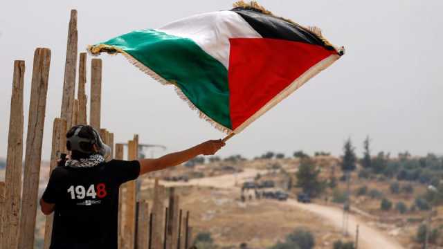'بريكس' تدعو إلى إجراء مفاوضات بشأن إنشاء دولة فلسطين ذات سيادة
