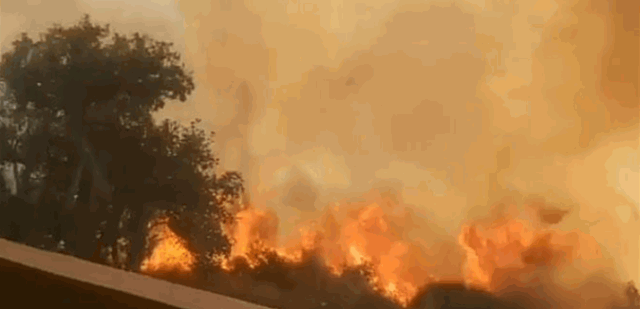 حريق كبير في بلدة حرار العكارية ومناشدات لاخماده