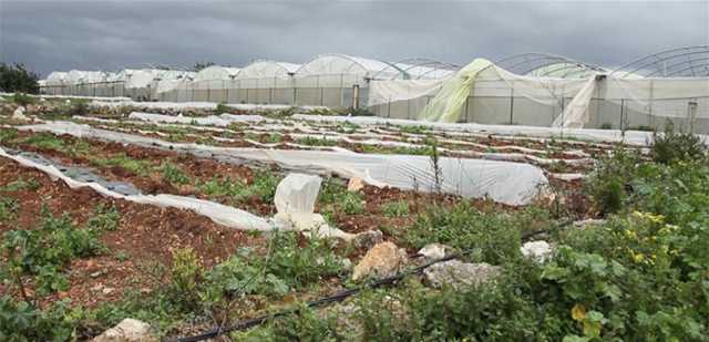 رئيس اتحاد جبل عامل للعمال الزراعيين: الاحتلال الإسرائيلي يقضي على القطاع