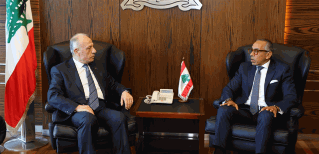 وزير الدفاع عرض المستجدات مع سفير مصر