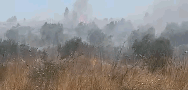 بالفيديو: اندلاع حريق كبير في خربة داوود العكارية
