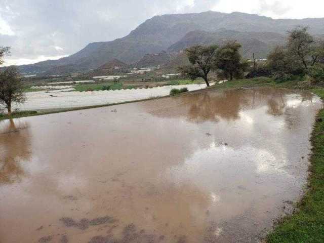 أمطار رعدية على 15 محافظة خلال الساعات القادمة