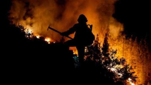 الشرطة الإسبانية: حرائق الغابات فى جزر الكنارى متعمدة