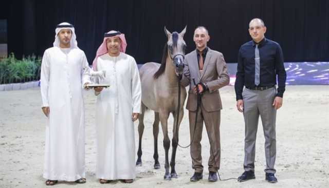 انطلاق منافسات بطولة الإمارات لجمال الخيل العربية