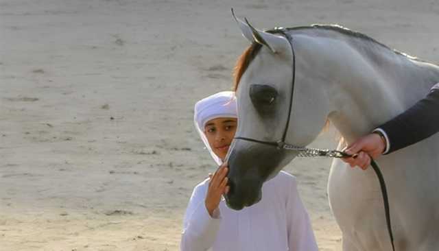 من المغرب.. الترويج لكأس الإمارات العالمي لجمال الخيل