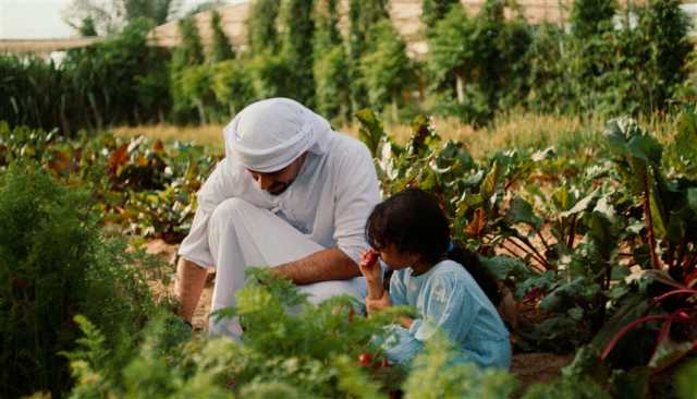 الإمارات.. نهج استباقي في تعزيز الأمن الغذائي