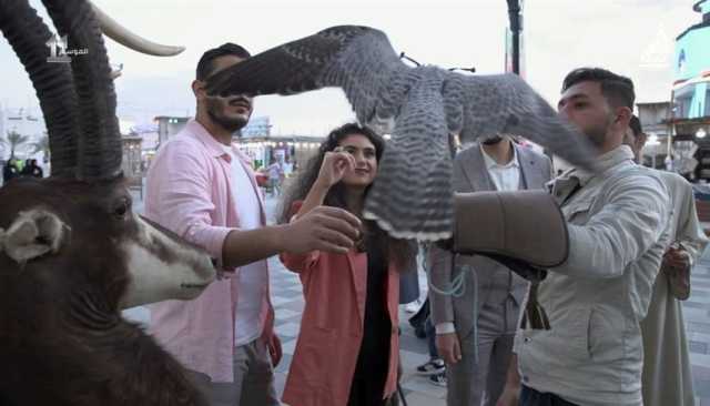 نجوم 'أمير الشعراء': مهرجان الشيخ زايد منصة تجمع ثقافات وحضارات العالم