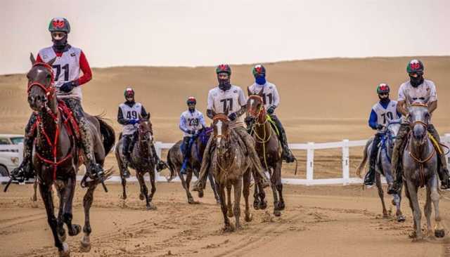 كأس الإمارات للخيول العربية للقدرة ينطلق الأحد