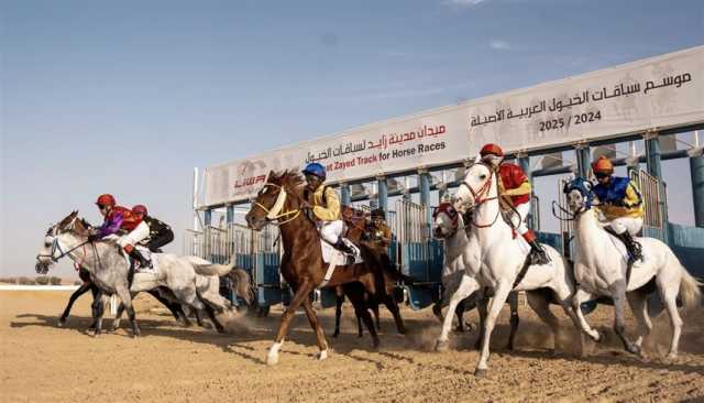 'سفير الثاني' و'الظفرة' بطلا السباق الثامن للخيول العربية في مدينة زايد