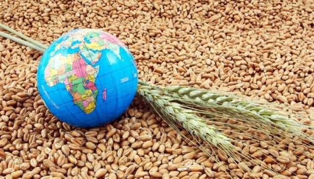 الأمن الغذائي العالمي