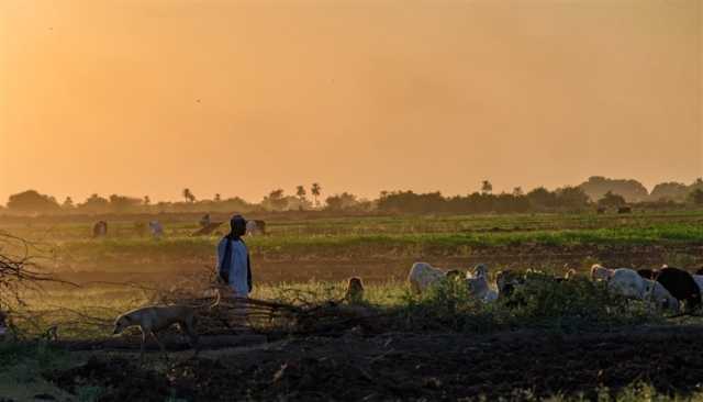 حرب الفنون.. مصورو السودان يحاربون مشاهد القتل بلوحات فنية