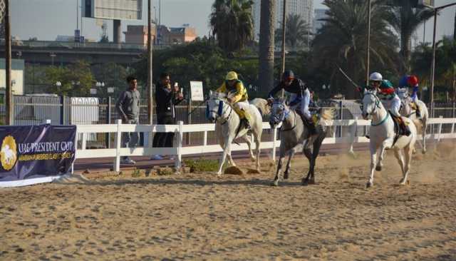 المحطة الـ12 من كأس رئيس الدولة للخيول العربية تنطلق السبت