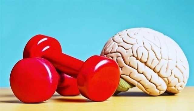 النشاط البدني يساعد الدماغ على إزالة الفضلات