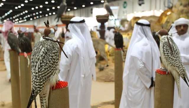 الإمارات تحتفل باليوم العالمي للصقارة