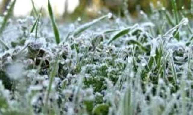 الأرصاد يحذر من أجواء شديدة البرودة في خمس محافظات