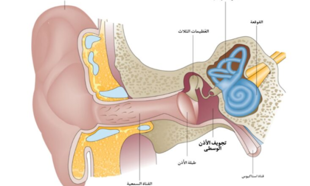 التهابات الاذن الوسطى..اسبابها والوقاية منها