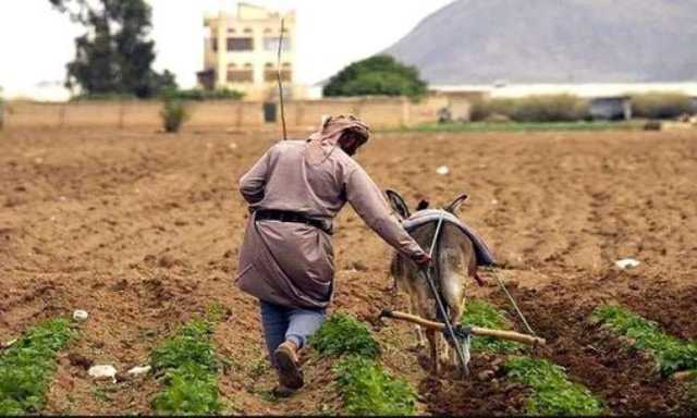 الفلكي عياش: المؤشرات تتيح للمزارعين القيام بهذا الامر دون تأخير