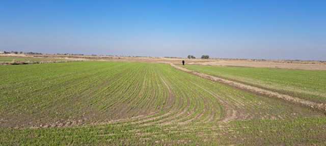مخاوف من قانون “قد يتيح” الاستحواذ على الاراضي الزراعية في العراق