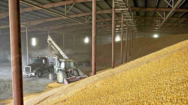 “بورصة الحنطة” تطالب بمحطات كهرباء متنقلة لـ”انقاذ” الخطط الزراعية