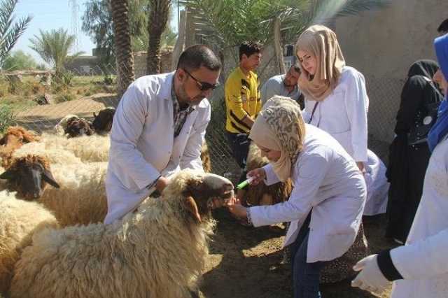 ديالى تعلن خلوها من وباء “الحمى النزفية”