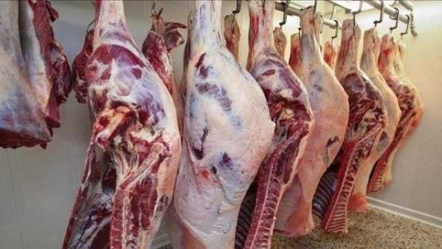 العراق يفتح استيراد اللحوم الحمراء من جميع البلدان ويطرح مشروعاً لمعالجة ارتفاعها