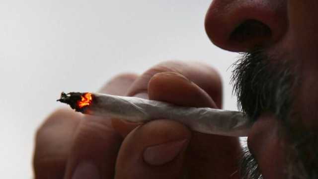 السلطات السويدية توزع الماريجوانا مجانا على المتعاطين