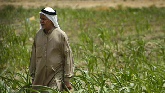 ديالى تخسر 80% من أقدم المناطق الزراعية شرق العراق