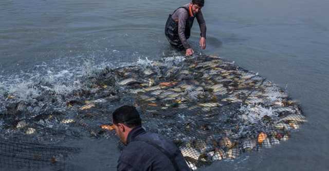 جمعية الصيادين تفند تهمة الصيد الجائر وتُحمِّل أطرافًا دولية مسؤولية تناقص الثروة الحيوانية