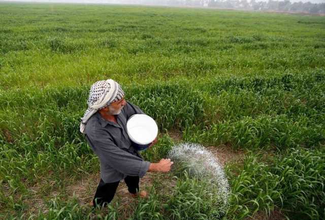 تفاصيل جديدة عن خطة الزراعة الشتوية في العراق