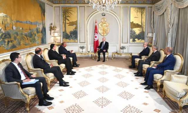 وزير الخارجية المصري يشيد بالسيسي وقيس سعيد: متجانسان في الرؤية والتجربة