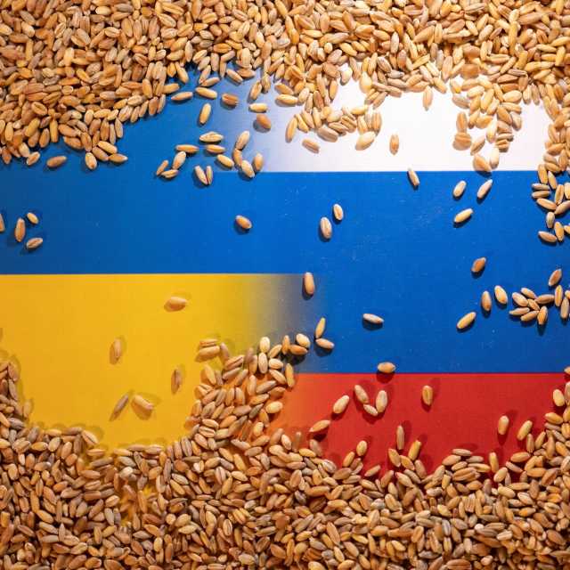 بوتين: روسيا قادرة على تعويض صادرات الحبوب الأوكرانية لإفريقيا