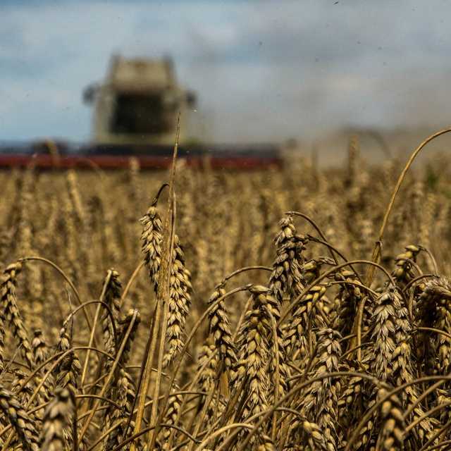 موسكو: سنبحث العودة لاتفاق الحبوب عندما نرى نتائج ملموسة