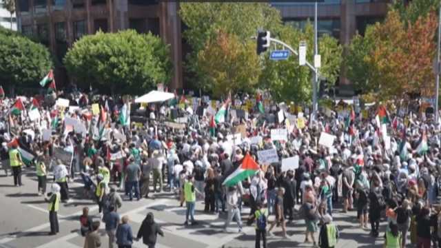 أمريكيون يتظاهرون في لوس أنجلوس دعما لفلسطين (فيديو)