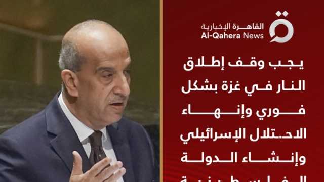 مندوب مصر بالأمم المتحدة: إنهاء الاحتلال الضامن الوحيد لوقف الانتهاكات ضد الفلسطينيين