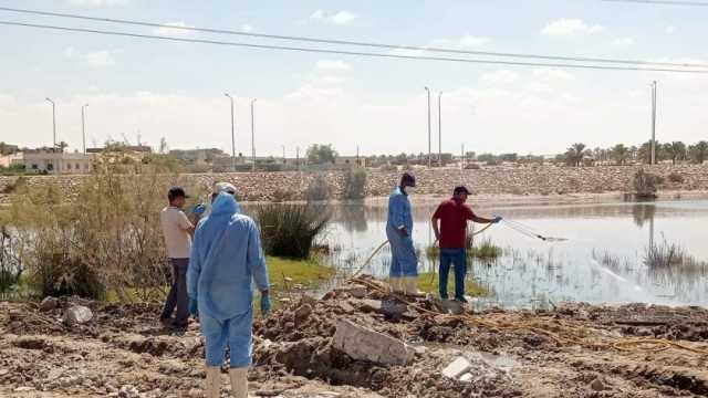 حملة لمكافحة الحشرات والقوارض بقرية الميدان غرب العريش (صور)