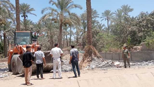 حملات لرفع القمامة وإزالة مخالفات البناء في الوراق وإمبابة بالجيزة