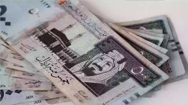 سعر الريال السعودي اليوم الثلاثاء 29-10-2024 مقابل الجنيه المصري