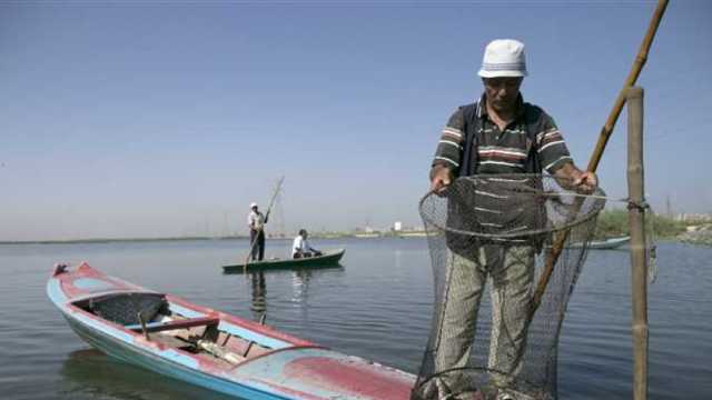 «الصيد الآلي»: إطلاق 72 فلوكة جديدة في بحيرة البرلس اليوم
