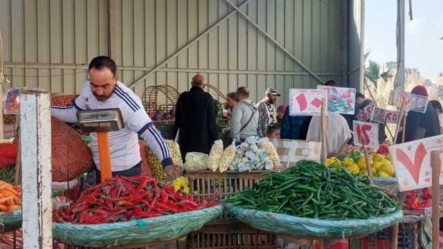 أسعار الخضروات والفواكه في معارض أهلا رمضان بالدقهلية
