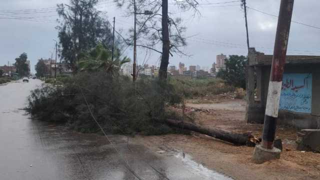 سقوط أشجار وانقطاع الكهرباء في بعض قرى كفر الشيخ بسبب الطقس السيئ