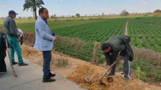 زراعة 170 شجرة زينة ومثمرة في مركز مطاي ضمن المبادرة الرئاسية