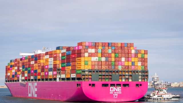 ميناء دمياط يستقبل 66 ألف طن بضائع متنوعة خلال 24 ساعة